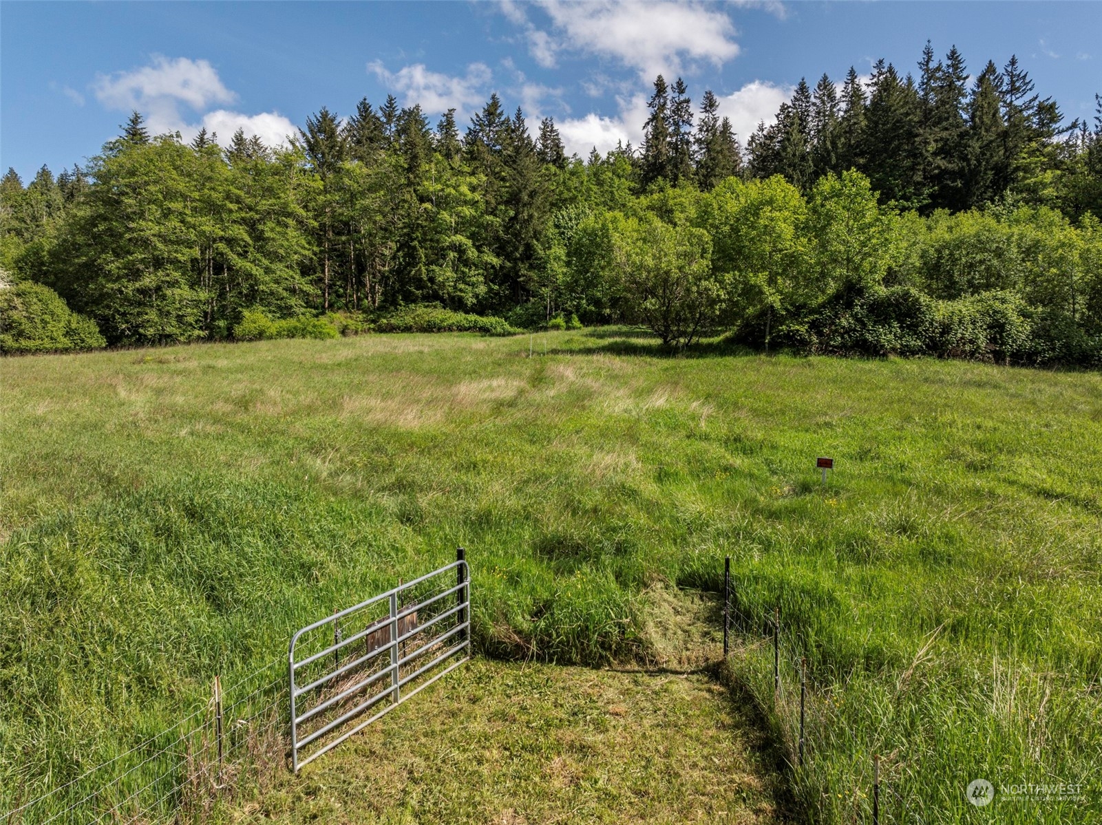1434 Chicken Coop Road Sequim, WA 98382 - Photo 3 of 25 a view of outdoor space and yard