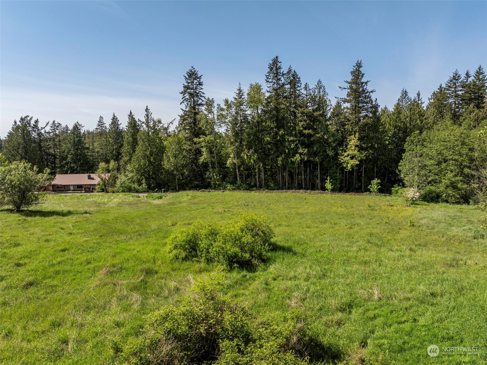 1434 Chicken Coop Road Sequim, WA 98382 - Photo 8 of 25 a view of a grassy field with trees in the background