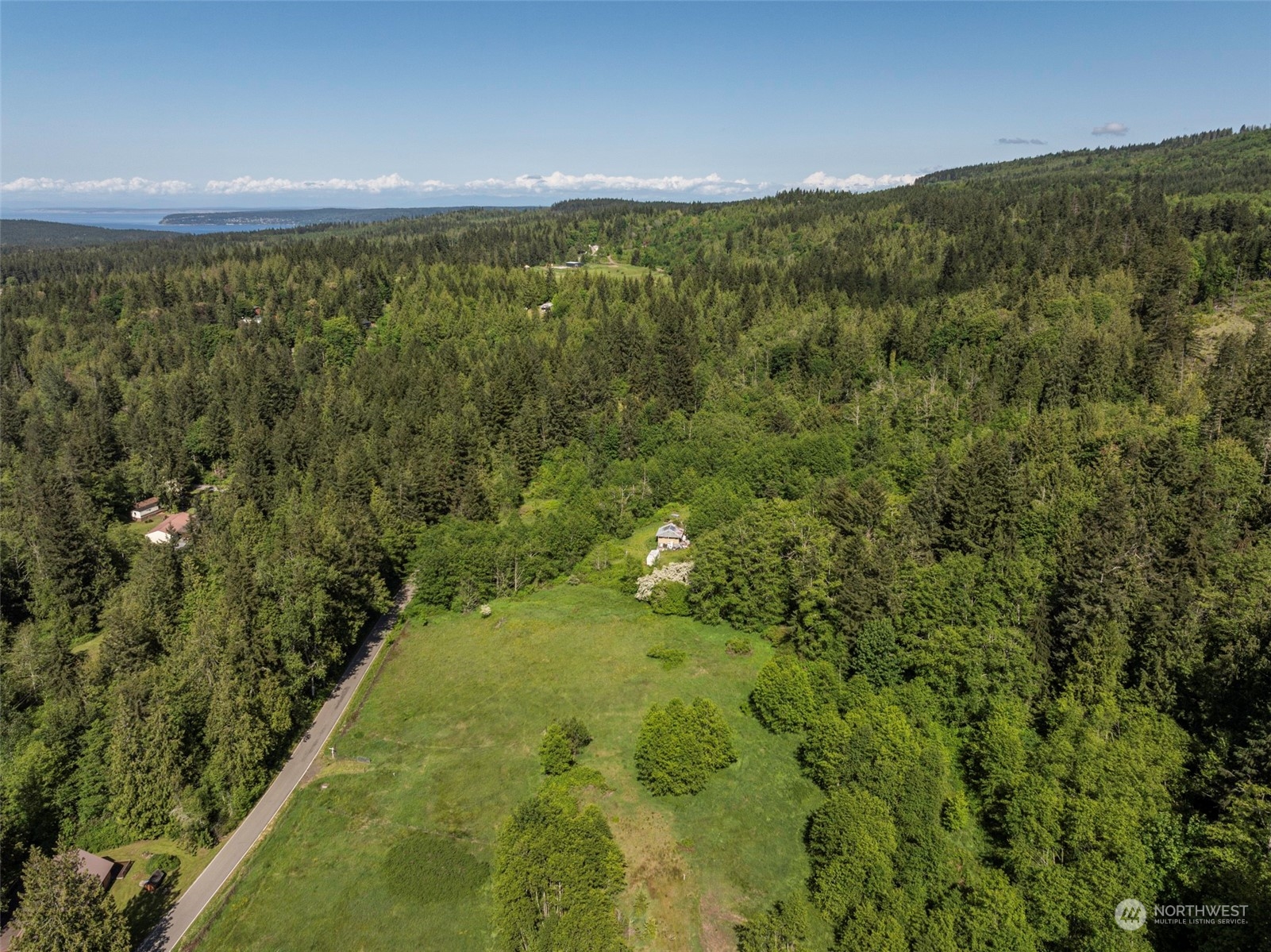 1434 Chicken Coop Road Sequim, WA 98382 - Photo 10 of 25 a view of a forest