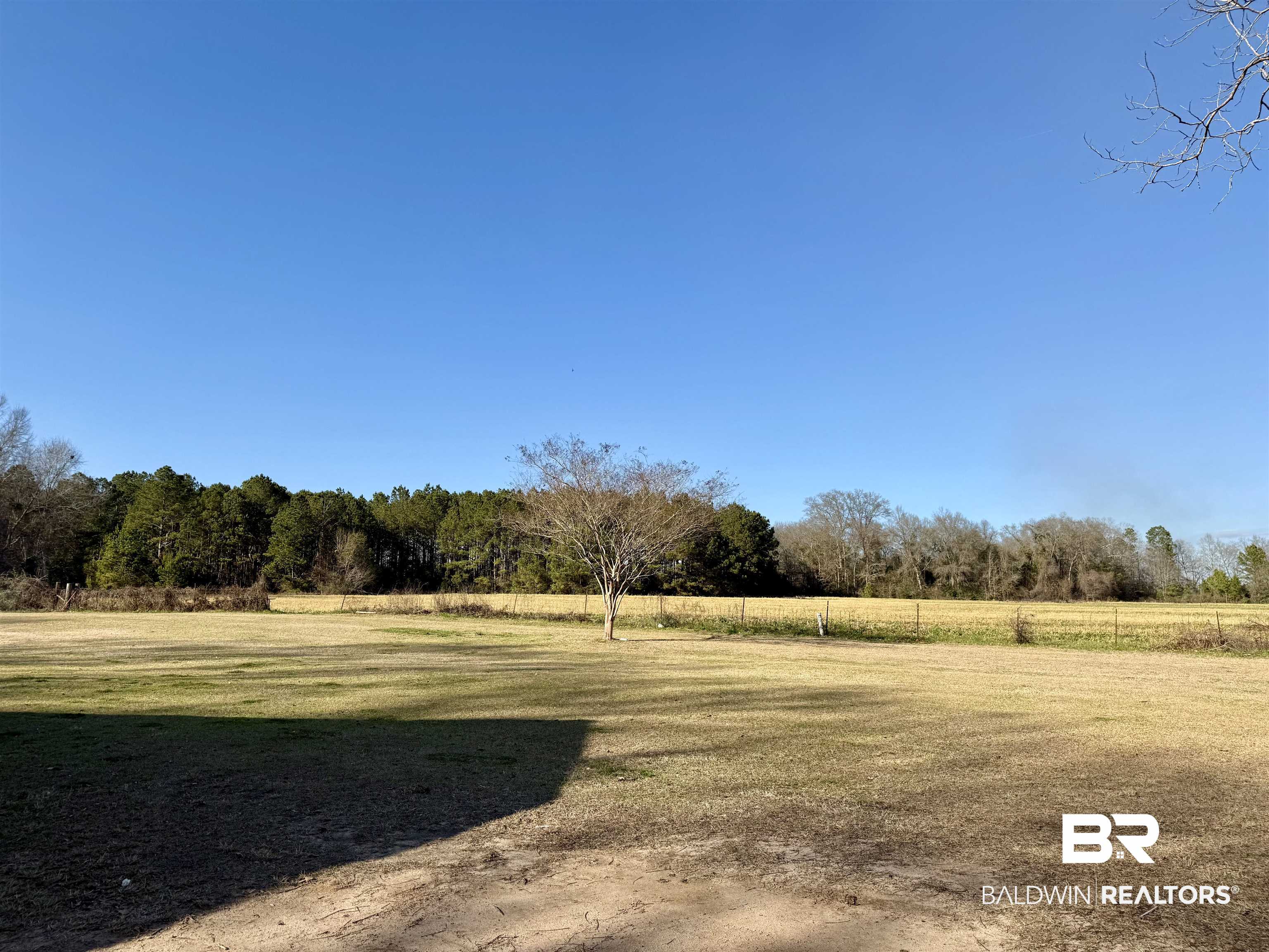 5646 Foshee Road Brewton, AL 36426 - Photo 34 of 37 View of green lawn with a view of rural / pastoral area