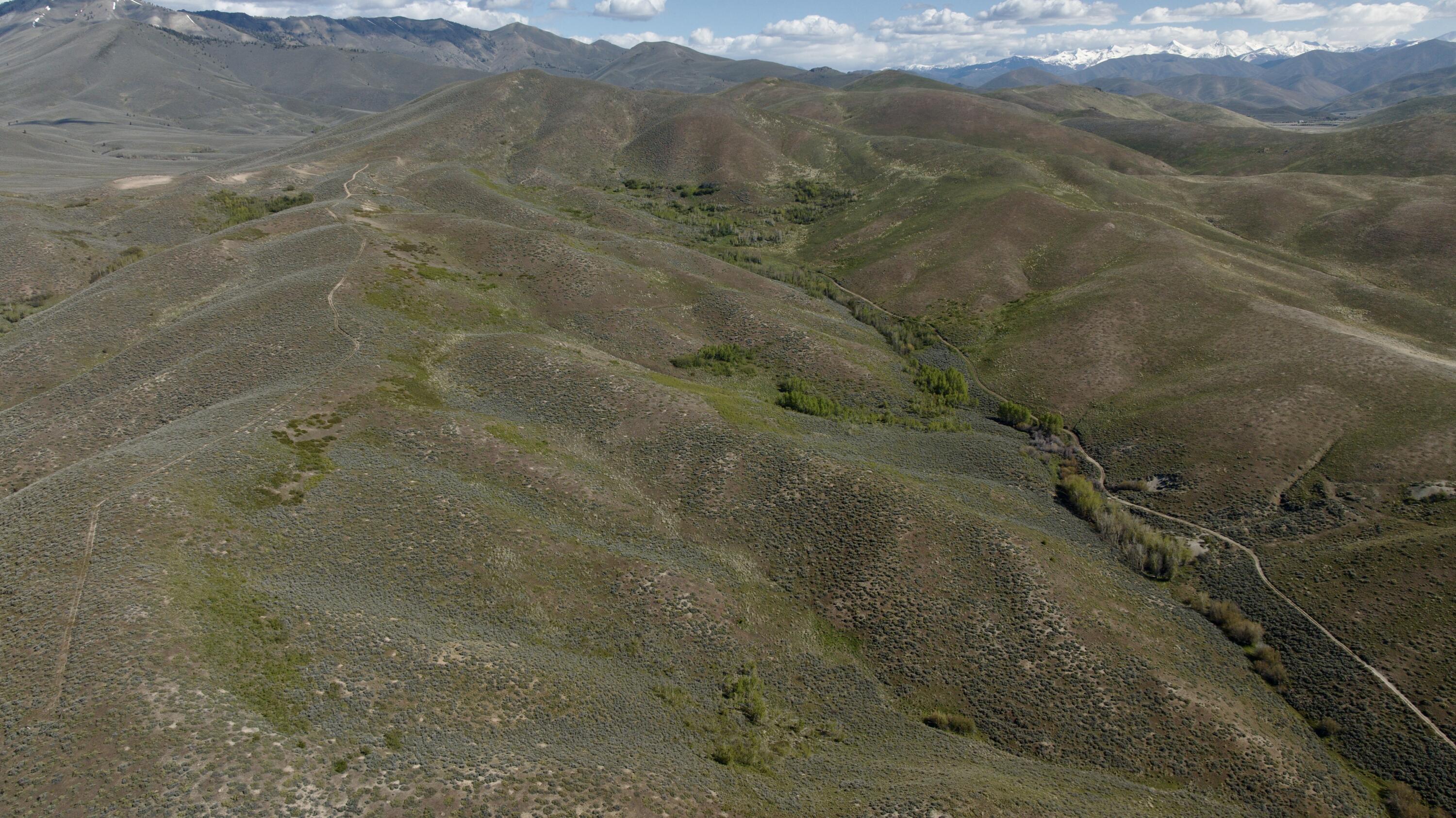 Tbd Camp Creek Road Hailey, ID 83333 - Photo 11 of 18 Camp Creek, Croy, Hailey