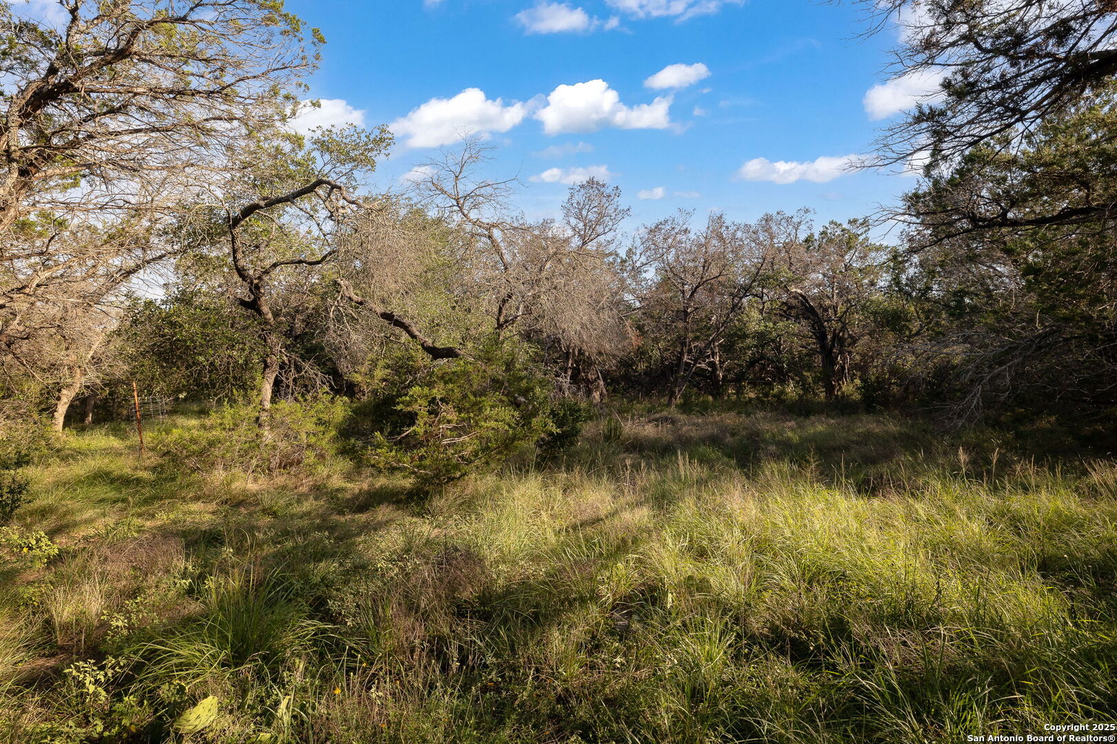 1060 Forest View Drive Blanco, TX 78606 - Photo 23 of 24 a view of lake