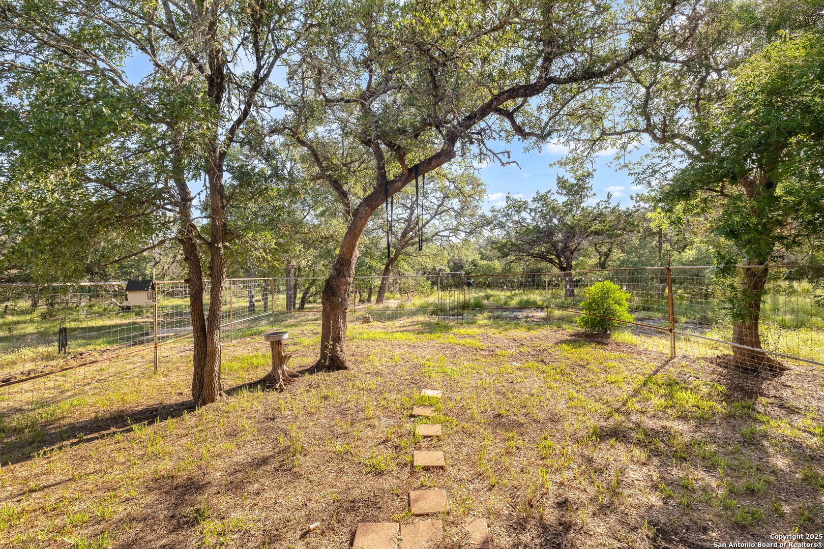 1060 Forest View Drive Blanco, TX 78606 - Photo 24 of 24 a view of yard with trees