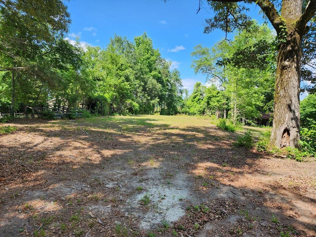 125 Meadow Lane Eastover, SC 29044 - Photo 6 of 9 162253_4