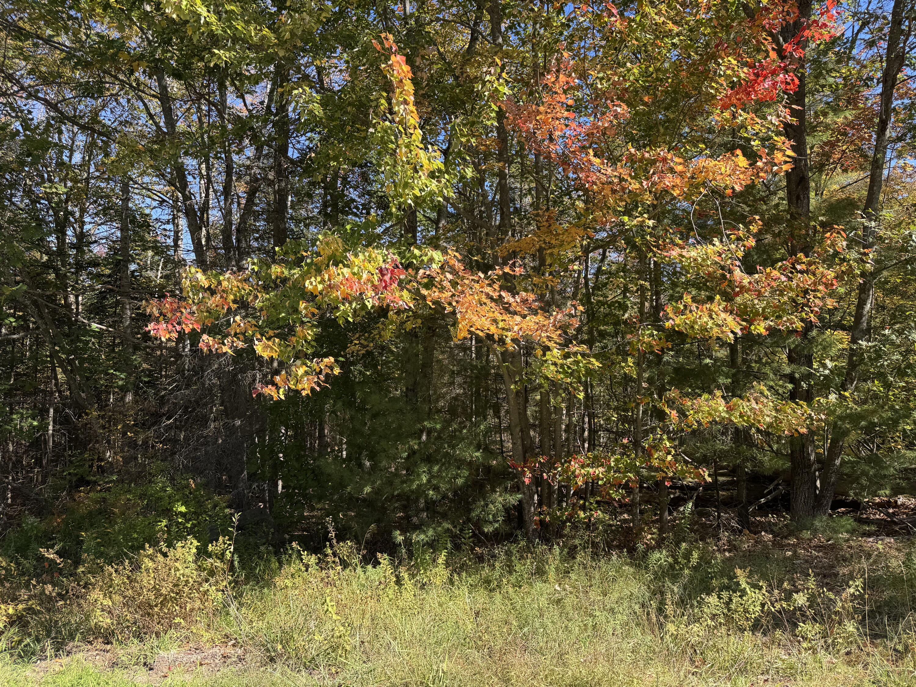 2680 Route 3 Palermo Me 04354 Palermo, ME 04354 - Photo 5 of 6 IMG_1514