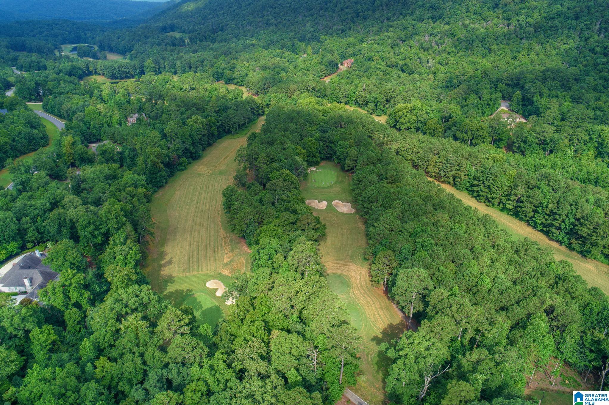 1675 St Andrews Parkway Oneonta, AL 35121 - Photo 48 of 50