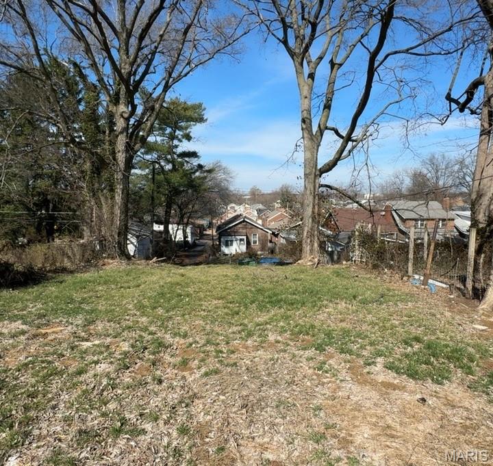 4459 Grace Avenue St. Louis, MO 63116 - Photo 2 of 5
