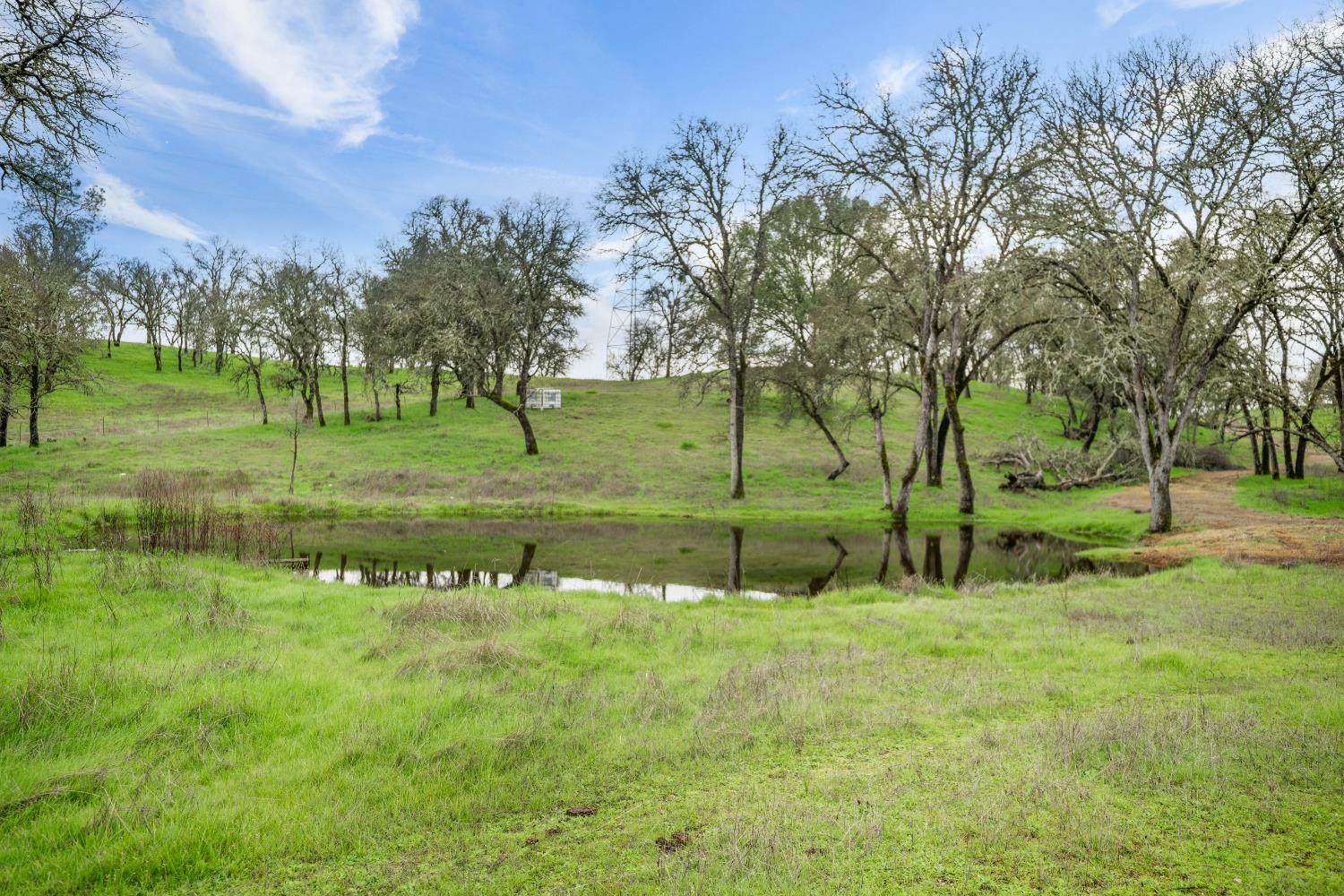 3570 Stagecoach Road Copperopolis, CA 95228 - Photo 51 of 67 Frog Pond, water for livestock and other wildlife and maybe for a possible winning frog next to frog pond is a covered storage container