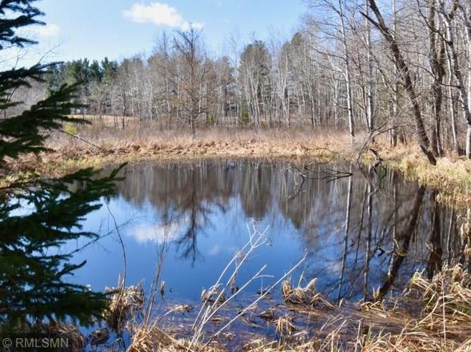 27048 Hawthorn Road Hinckley, MN 55037 - Photo 9 of 9