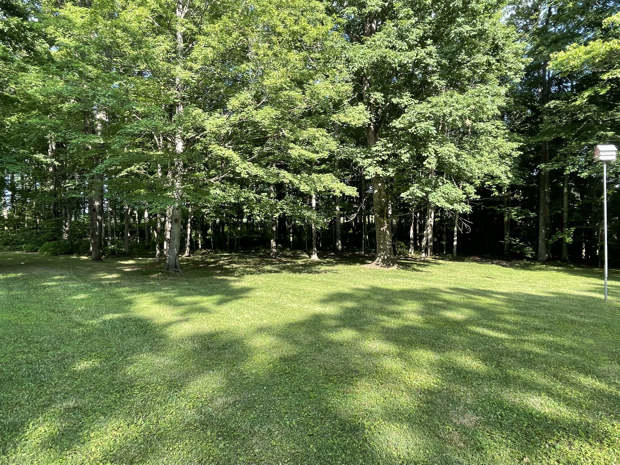 1224 Poplar Ridge Road Chapmansboro, TN 37035 - Photo 14 of 40 a view of swimming pool