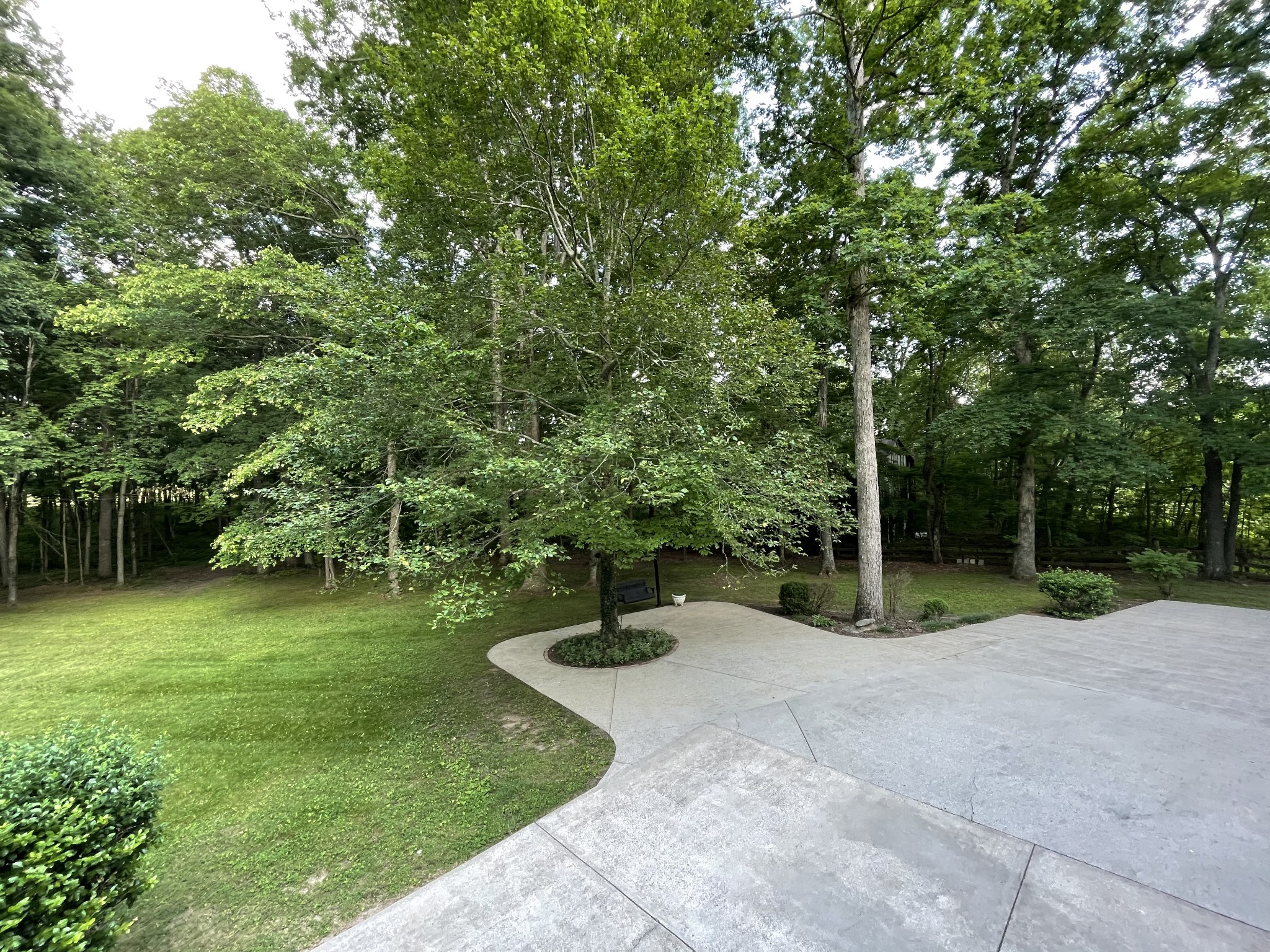 1224 Poplar Ridge Road Chapmansboro, TN 37035 - Photo 15 of 40 a view of a park with large trees