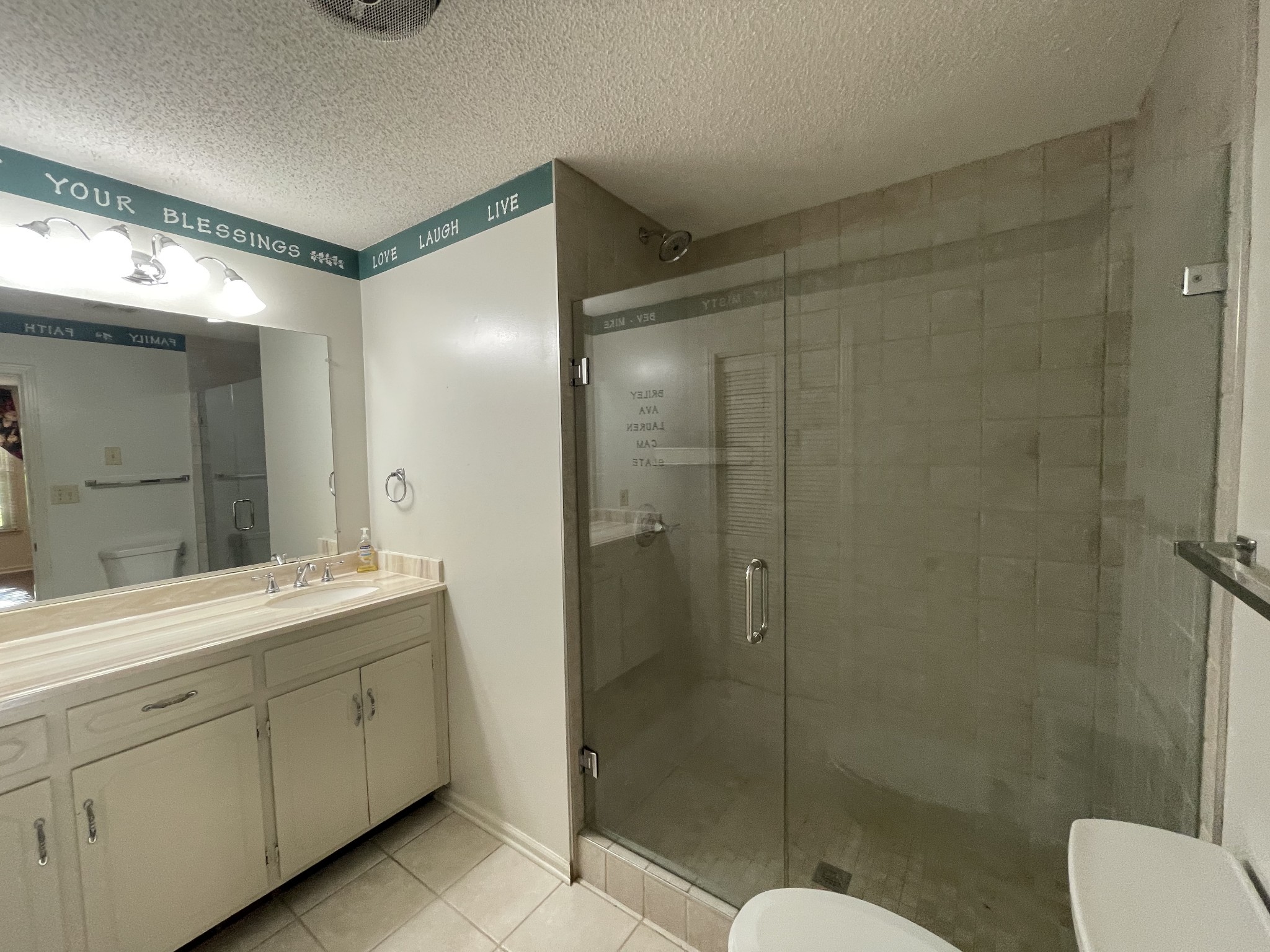 1224 Poplar Ridge Road Chapmansboro, TN 37035 - Photo 35 of 40 a spacious bathroom with a shower sink mirror and toilet