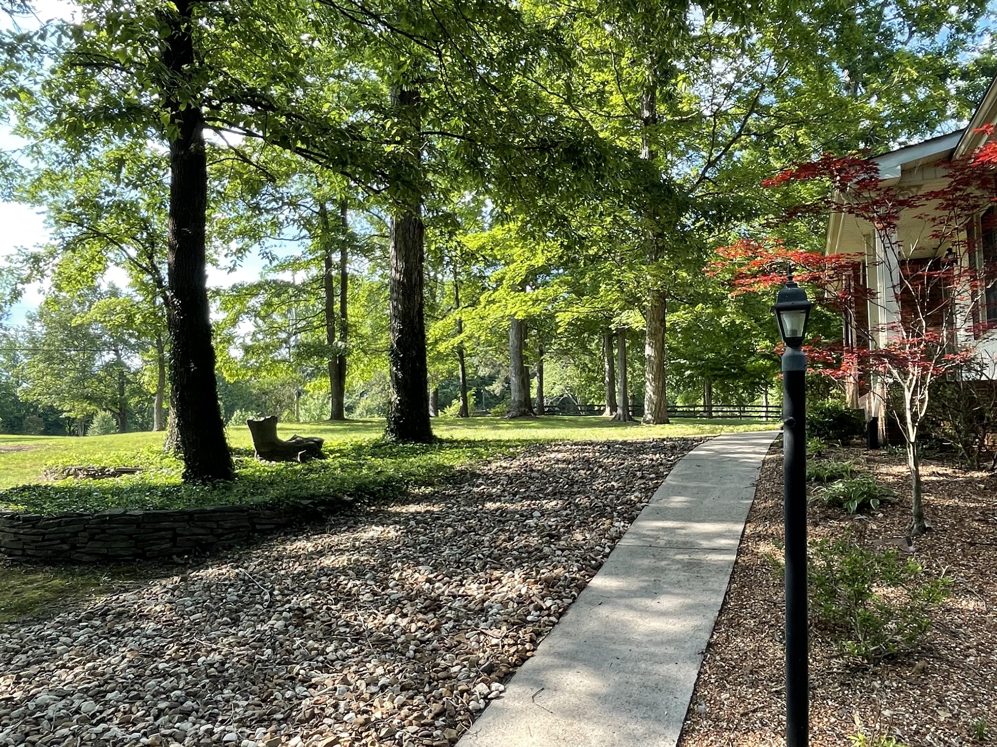 1224 Poplar Ridge Road Chapmansboro, TN 37035 - Photo 4 of 40 a view of a yard with plants and trees