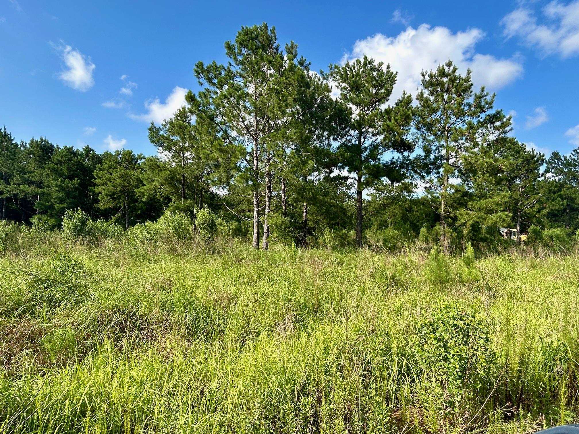 0 James Road Foley, AL 36535 - Photo 2 of 3 View