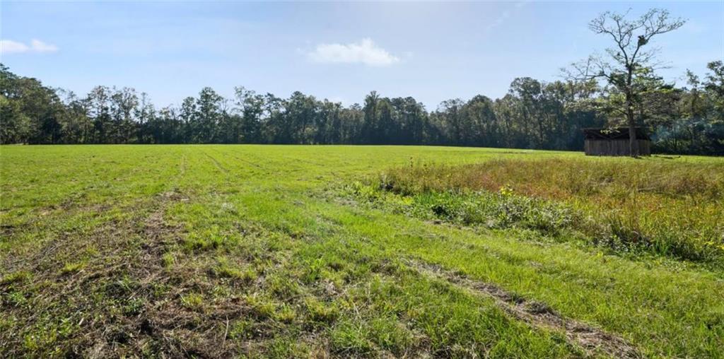 0 May Edwards Road Ponchatoula, LA 70454 - Photo 1 of 2 Gallery Image 1
