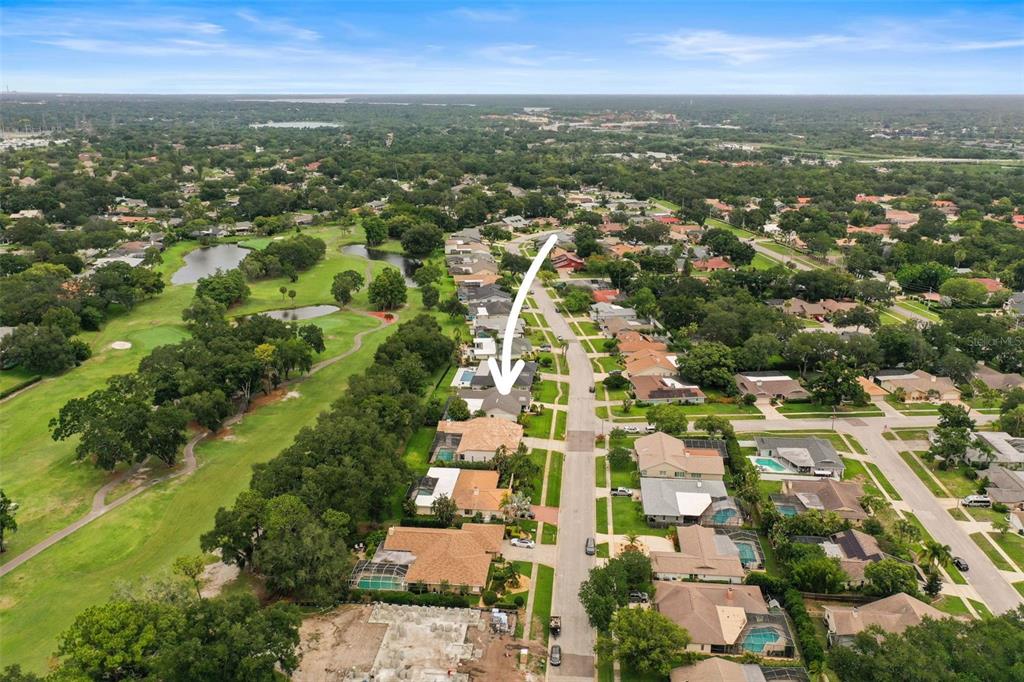 3230 Sandy Ridge Drive Clearwater, FL 33761 - Photo 6 of 9