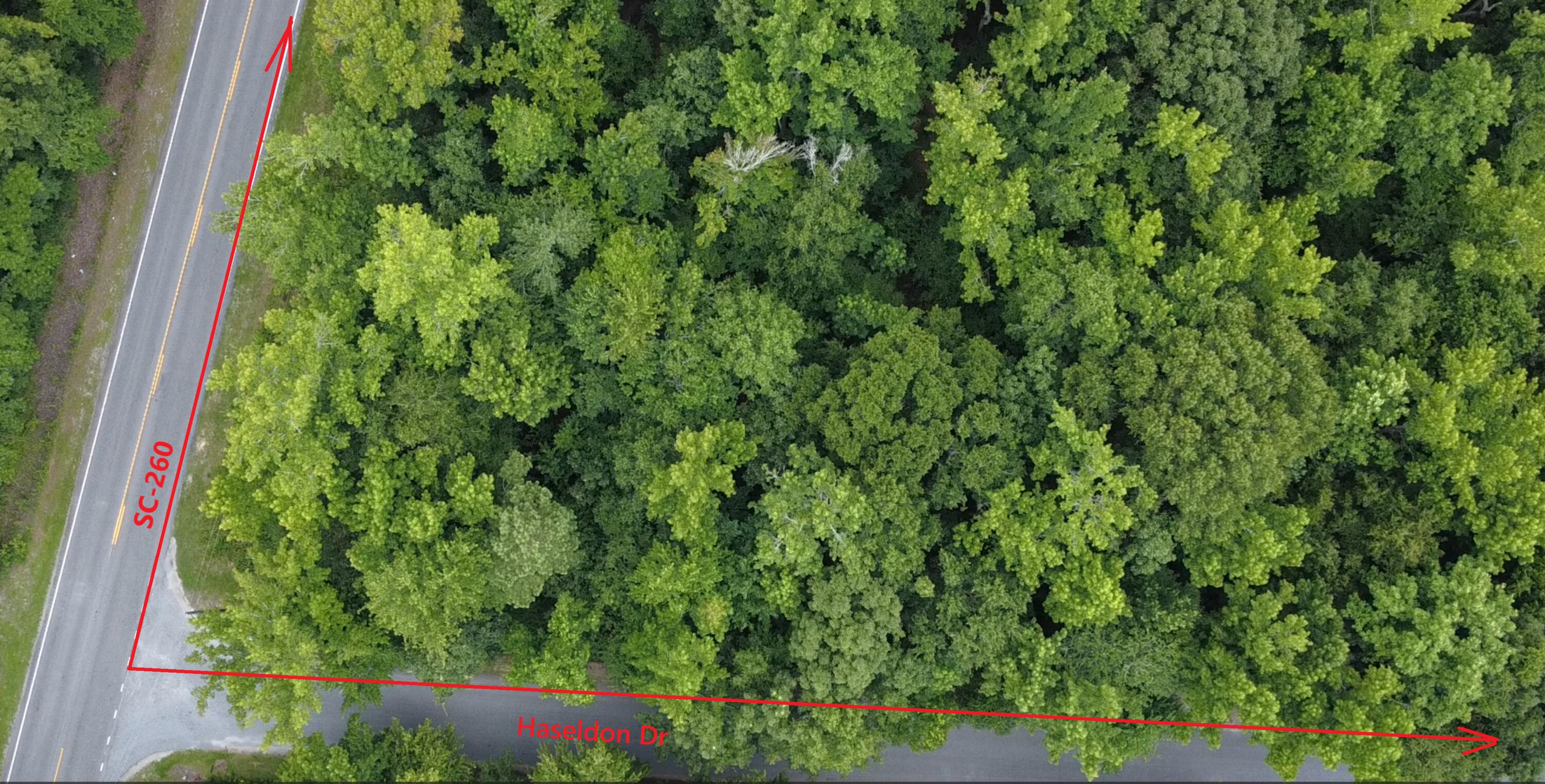 0 Haseldon Drive Manning, SC 29102 - Photo 1 of 6 1