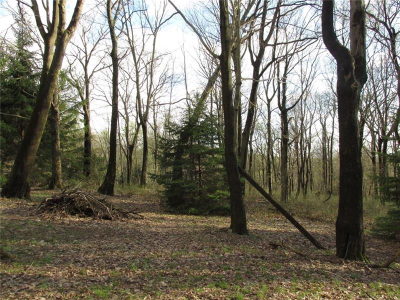 182 Rocky Ridge Road Champion, PA 15622 - Photo 23 of 24 The parcel has approximately 408 feet of road frontage and going back approximately 213 feet.