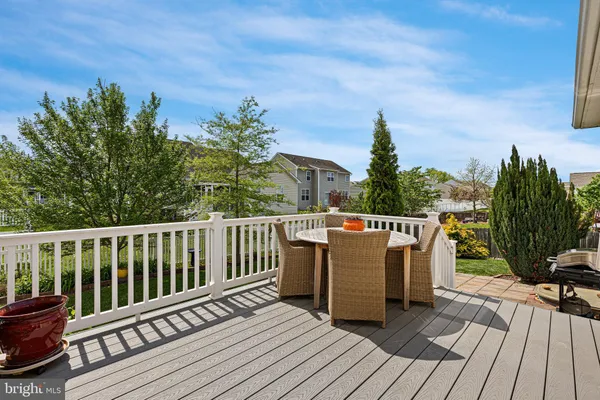 a view of a backyard with plants and a garden