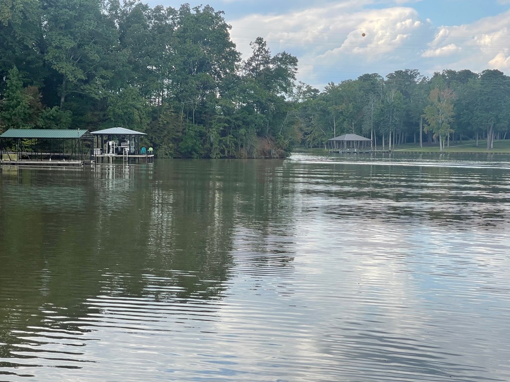 529 Mill Creek Road Abbeville, AL 36310 - Photo 12 of 32