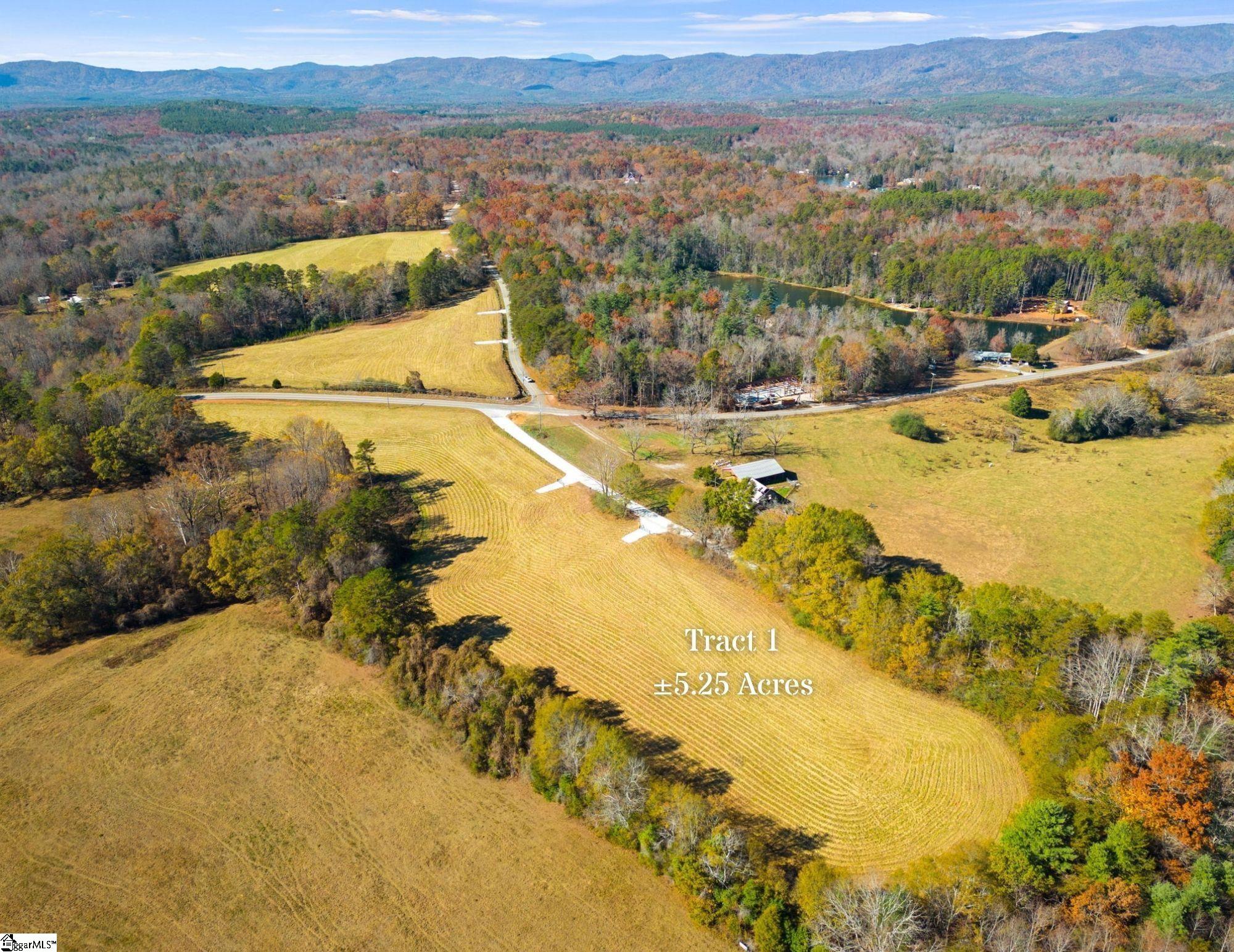 0 Ridge Road, Unit LOT 1 Salem, SC 29676 - Photo 2 of 16 Gallery Image 2