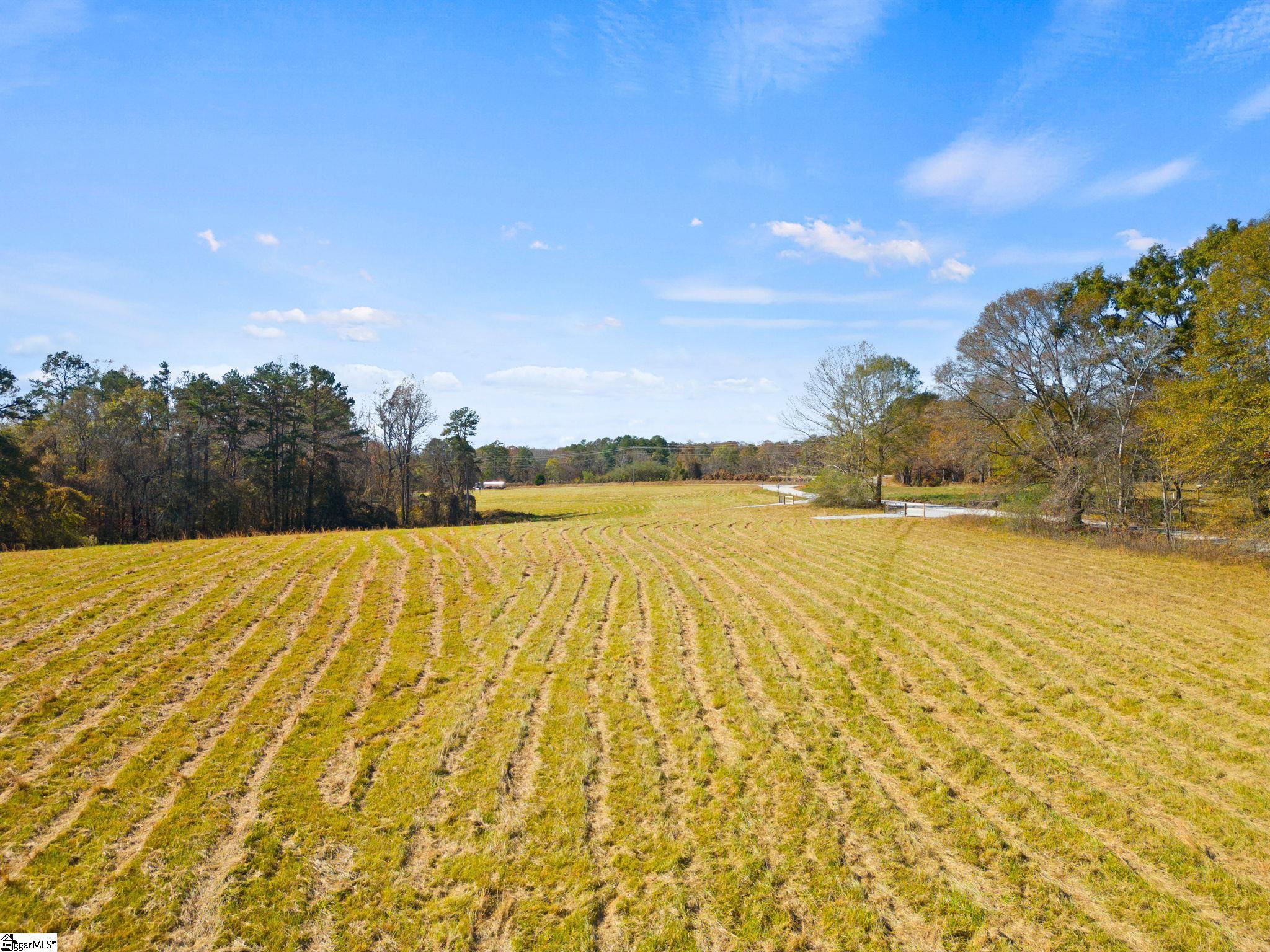 0 Ridge Road, Unit LOT 1 Salem, SC 29676 - Photo 3 of 16 Gallery Image 3