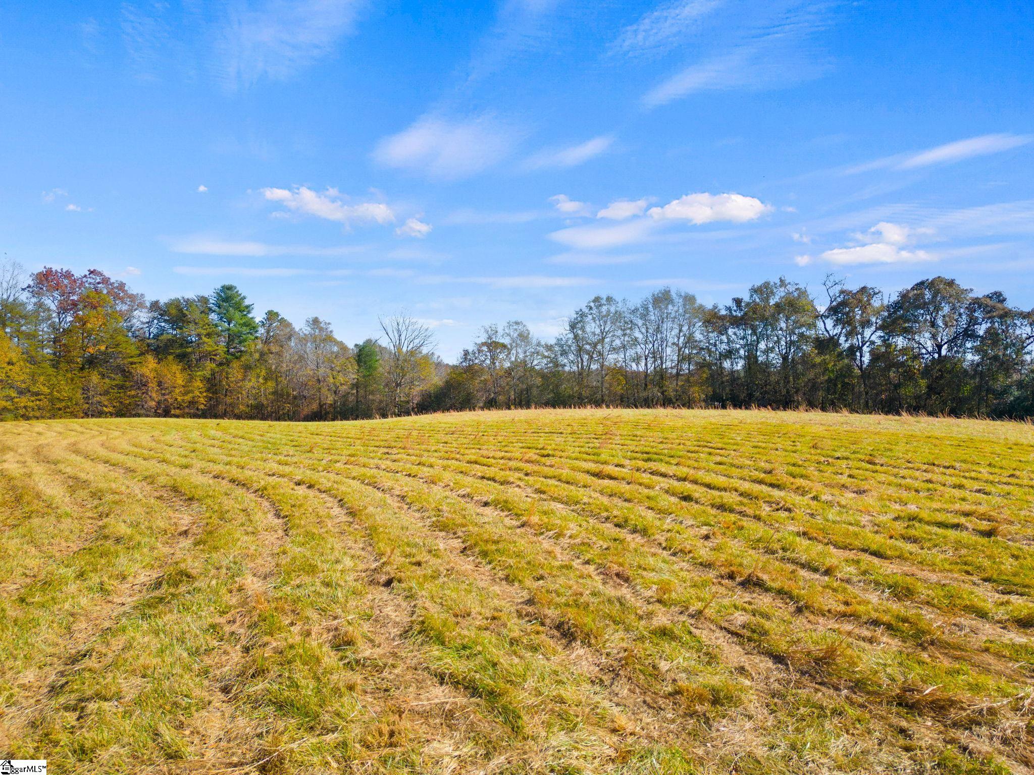 0 Ridge Road, Unit LOT 1 Salem, SC 29676 - Photo 8 of 16 Gallery Image 8