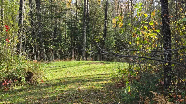 $149,000 | 7178 Gold Mine Road, Orr, MN 55771