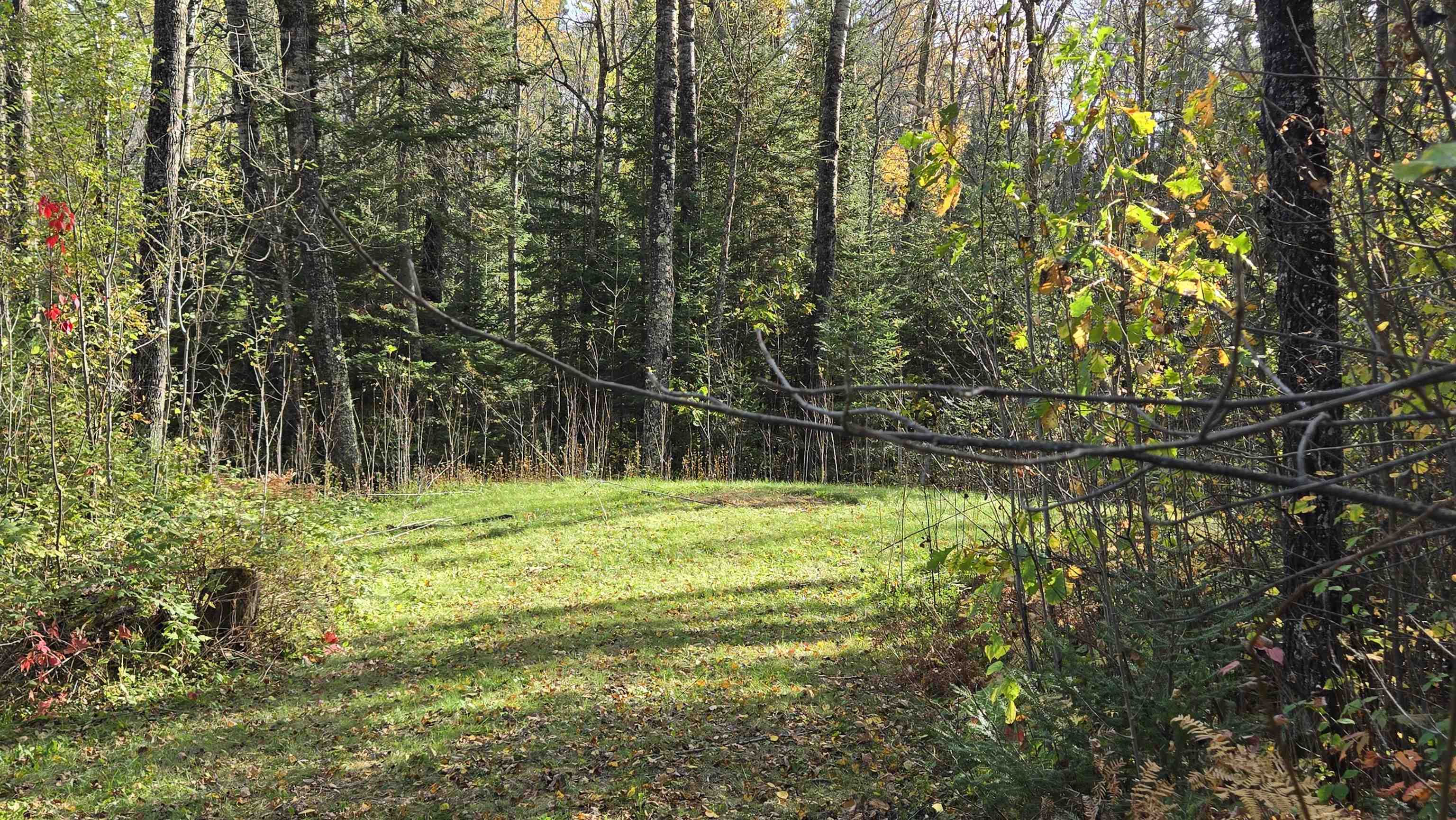 7178 Gold Mine Road Orr, MN 55771 - Photo 30 of 36 View of green lawn with a view of trees