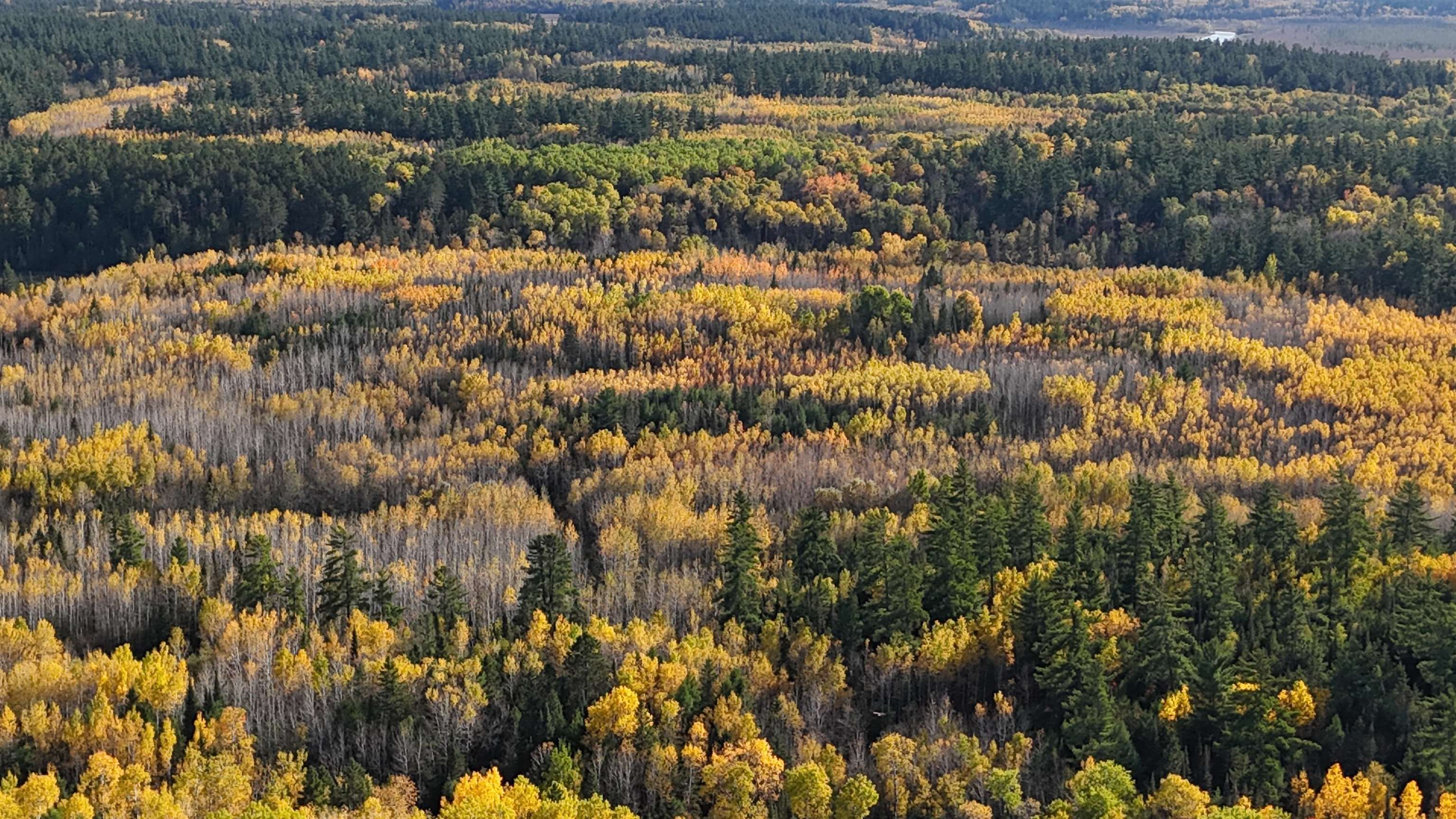 7178 Gold Mine Road Orr, MN 55771 - Photo 33 of 36 Drone / aerial view of a heavily wooded area