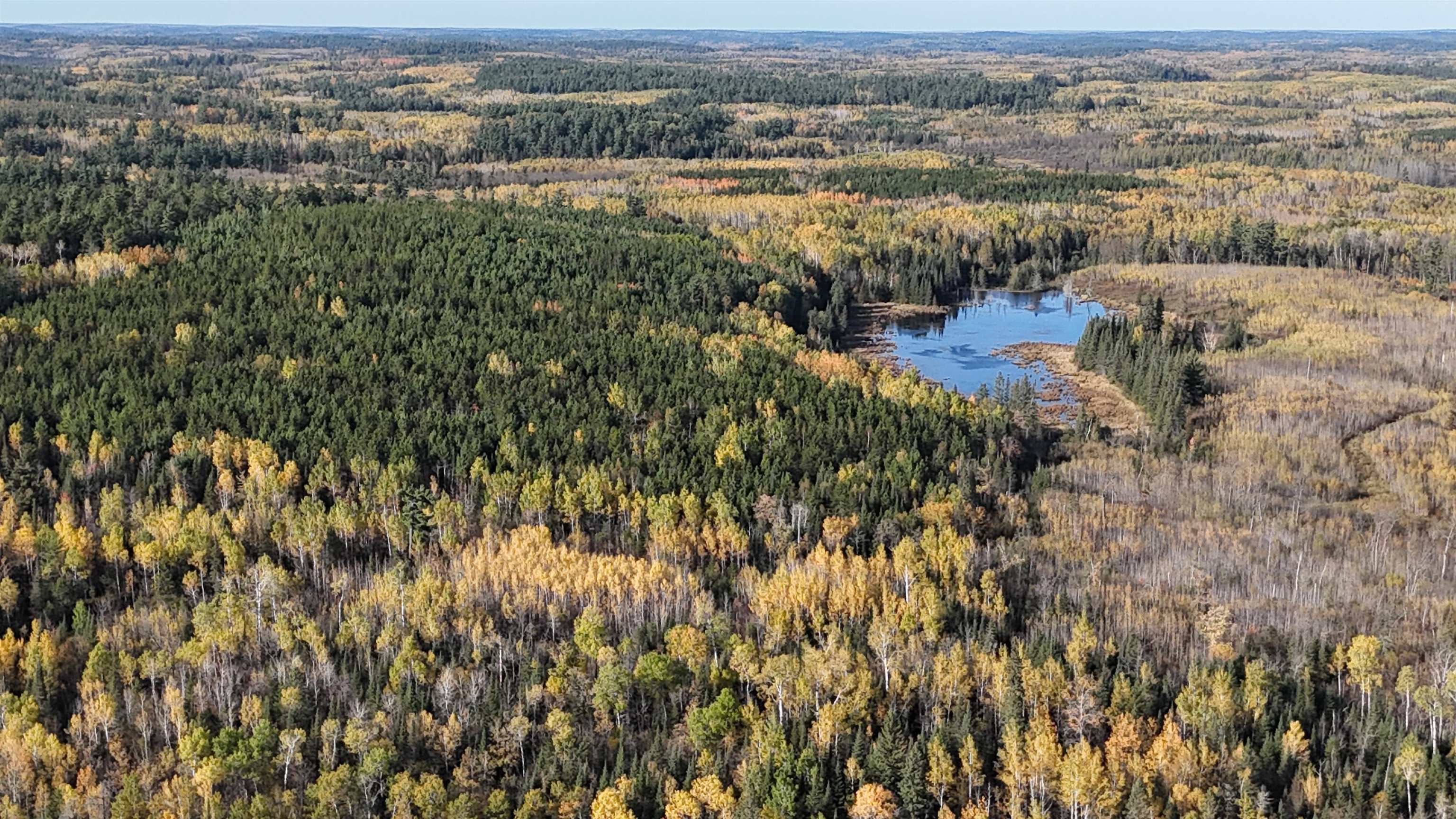 7178 Gold Mine Road Orr, MN 55771 - Photo 35 of 36 Aerial overview of property's location with a large body of water and a forest
