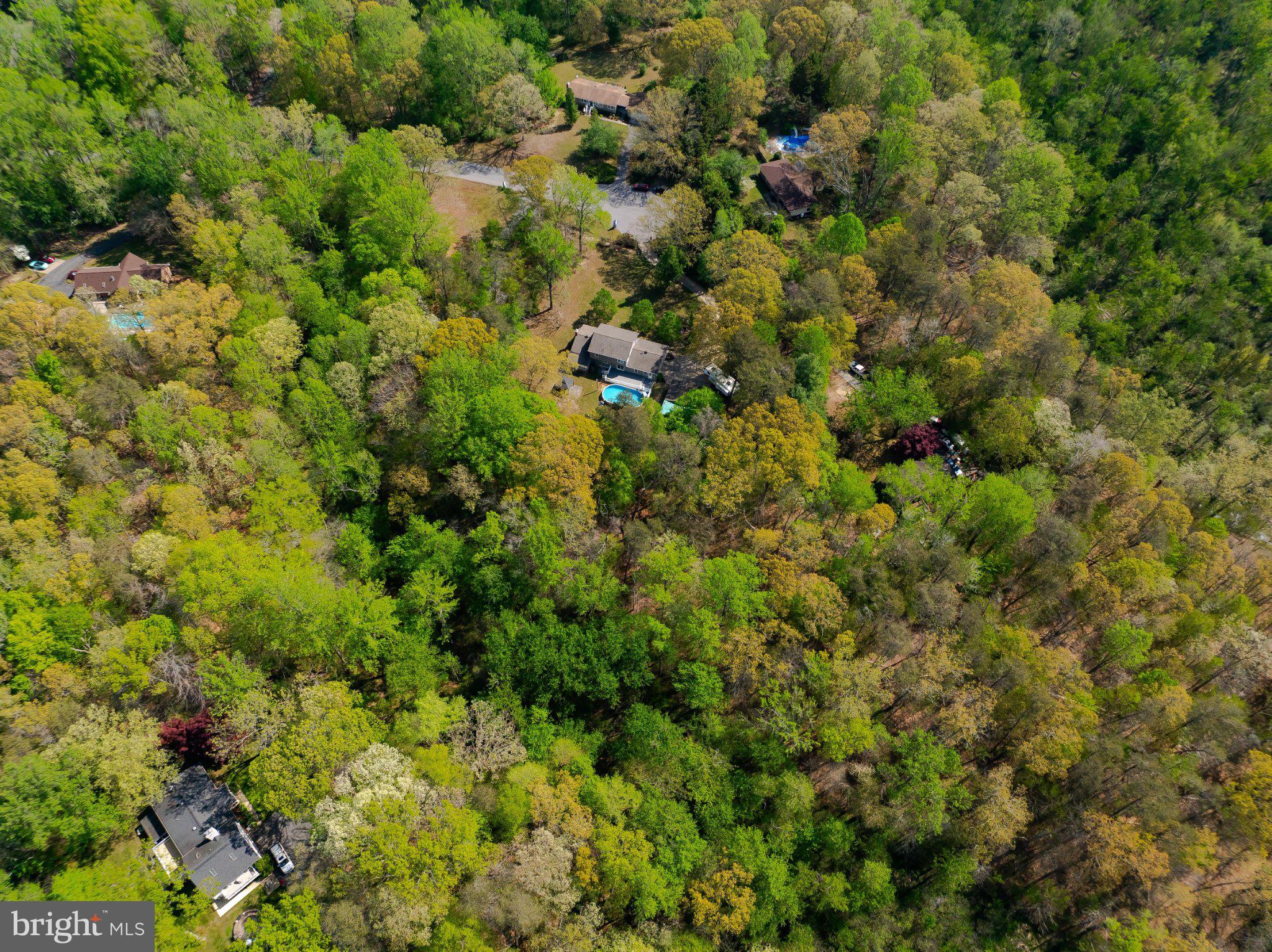 2420 Cecil Lane Huntingtown, MD 20639 - Photo 3 of 72 Serene woodland retreat awaits you.