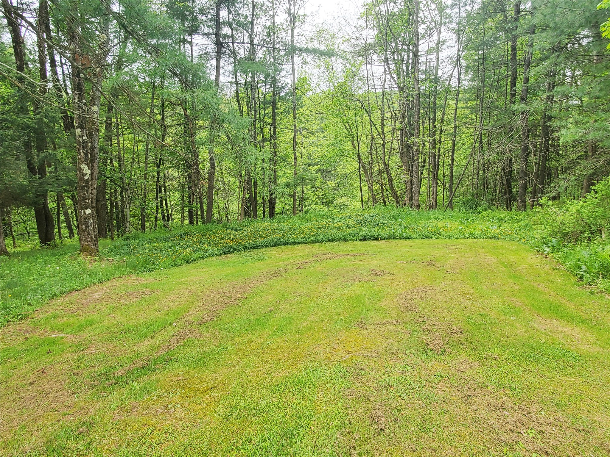 220 Brinkman Road Brackney, PA 18812 - Photo 29 of 33