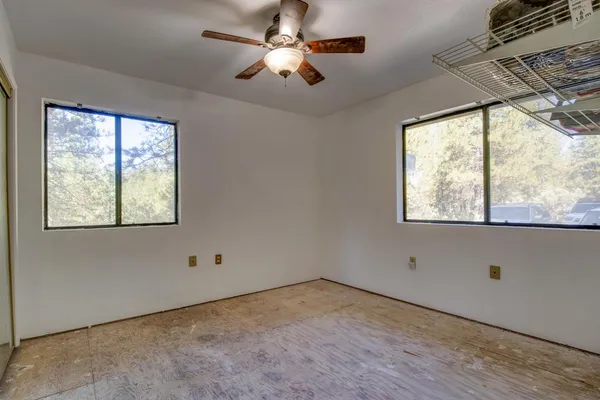 a view of a yard with plants and trees