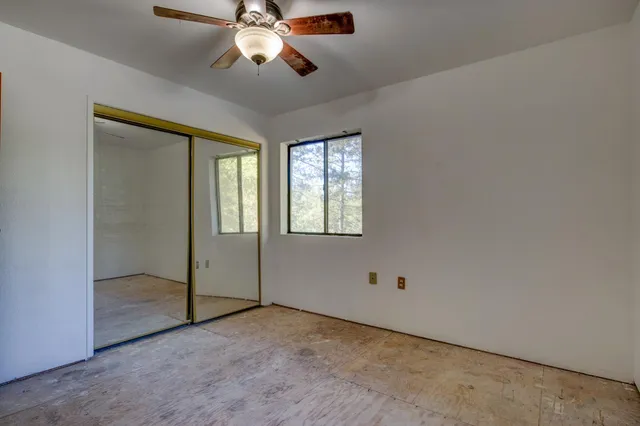a view of road and trees