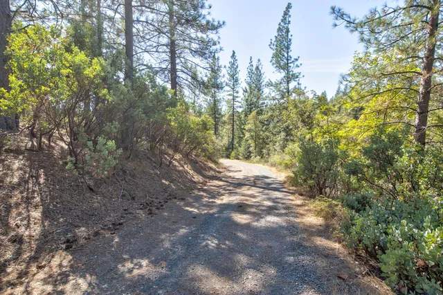 a view of outdoor space and a yard