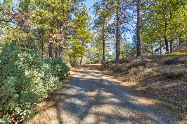 a view of a yard with trees