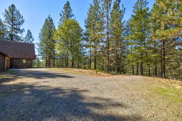 a view of a yard with a tree
