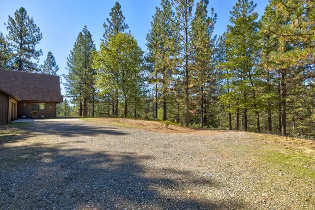 a view of a yard with a tree