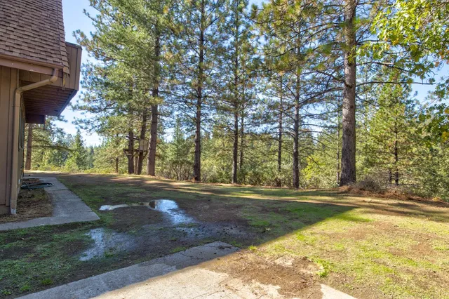 a backyard of a house with lots of green space
