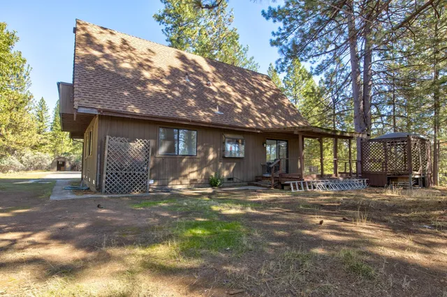 a view of a forest with a mountain