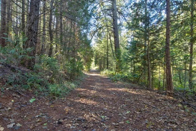 $485,000 | 26672 Old Loggers Lane, Colfax, CA 95713