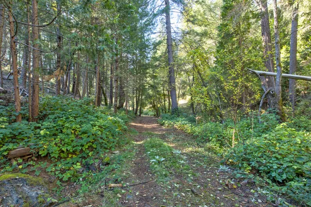 $485,000 | 26672 Old Loggers Lane, Colfax, CA 95713