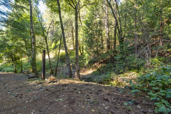 $475,000 | 26672 Old Loggers Lane, Colfax, CA 95713