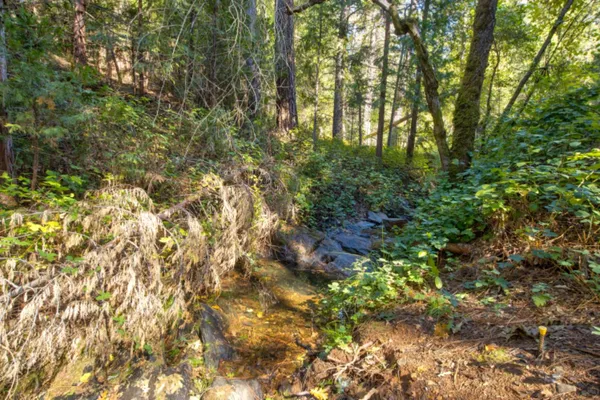 $475,000 | 26672 Old Loggers Lane, Colfax, CA 95713