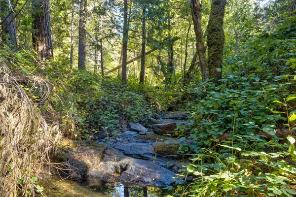 $475,000 | 26672 Old Loggers Lane, Colfax, CA 95713