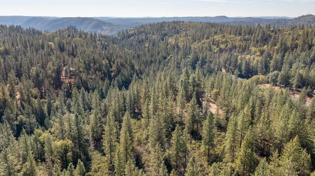 $485,000 | 26672 Old Loggers Lane, Colfax, CA 95713