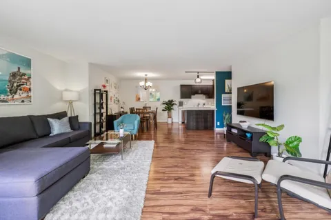 a living room filled with furniture and a potted plant