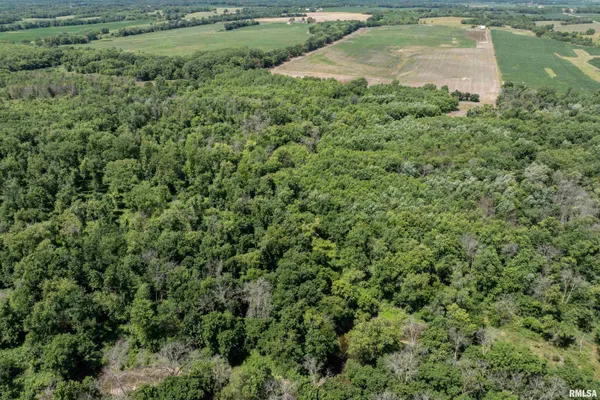 $380,000 | 13 Walker Twp West Point, Sutter, IL 62373