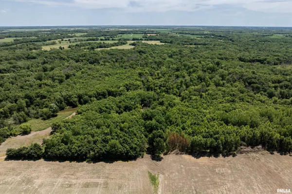 $380,000 | 13 Walker Twp West Point, Sutter, IL 62373